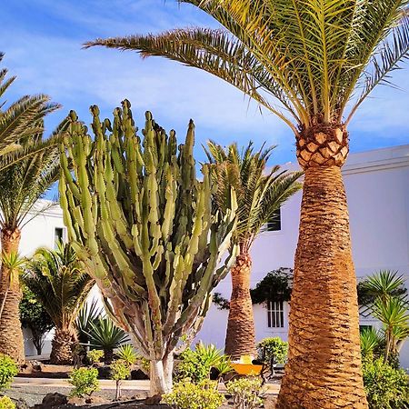 Flor De Las Dunas Pools Wifi Tennis Bikes For Free Corralejo Ngoại thất bức ảnh